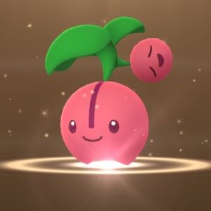 Meet your Posher, Jodie